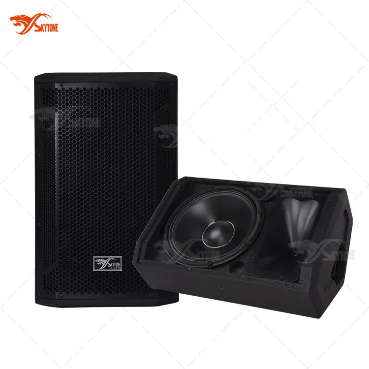 12 Inch Volledige Frequentie Luidspreker Systeem STX812M Stage Monitor Speaker Box