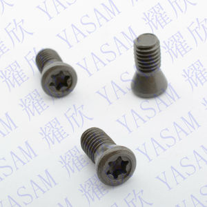 Yatam SCODAK <span class=keywords><strong>M2.5</strong></span> <span class=keywords><strong>X</strong></span> <span class=keywords><strong>6Mm</strong></span> TORX Carbide Chèn Vít Cho Dụng Cụ Cắt - Product Image 5