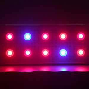 680 w 700 w multi-espectro llevado crece <span class=keywords><strong>luces</strong></span> rojo azul relación de <span class=keywords><strong>amazon</strong></span> para flor de la floración de plantas medicinales - Product Image 2