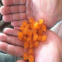Ligne de production de pâtes italiennes, m, entièrement automatique, pour macarons italiens, prix direct d'usine