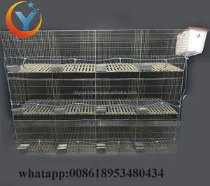 High Quality Galvanized 3 Tier Breeding Industrial Rabbit Cage For Sale