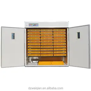 Full Automatic 5280 All In One Egg Incubator Made in China