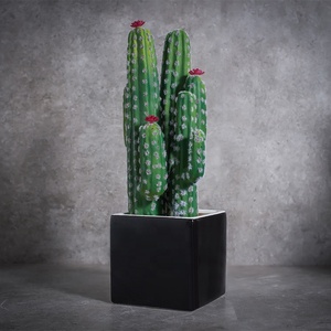 Venta caliente casa decoración interior de cerámica, maceta suculenta planta grandes artificiales <span class=keywords><strong>Cactus</strong></span> - Product Image 2