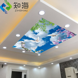 ZHIHAI UV In 0.18 0.22 0.25Mm Translucent Pvc Căng Trần - Product Image 2
