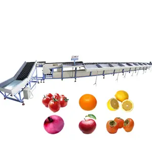 CE Approved & ISO9001 Apple Grading Equipment/Bell pepper Grading Machine