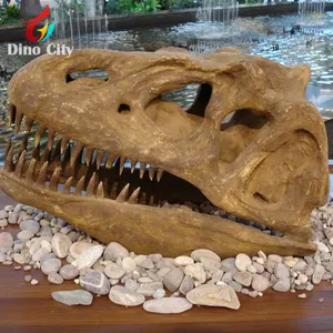 骷髅恐龙头骨待售博物馆定制逼真的人造动物1.2米长度或定制尺寸的恐龙城市