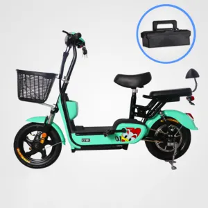 Best price 2 wheel drive electric bicycle from manufacturer directly