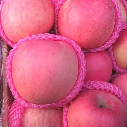 Nieuwe Crop Chinese Fuji Apple Voor Export Goede Kwaliteit Uit China