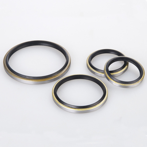 Dkb métal joint racleur poussière - Product Image 6