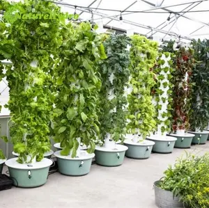 ग्रीनहाउस खड़ी aeroponic टॉवर ऊर्ध्वाधर उद्यान