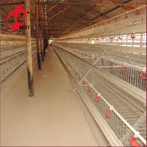 Corral de batería para venta nigeria jaula de pollo con gran precio