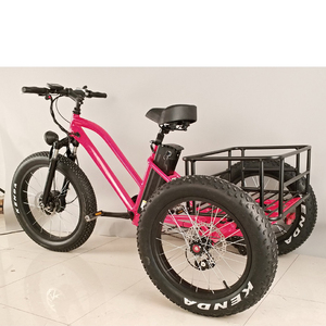 500 Вт китайский грузовой взрослых 3-х колесный Электрический велосипед - Product Image 4