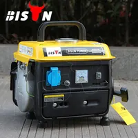 BISON (Cina) 1E45F 650 750 950 w 950 watt 950 watt 2HP dc brushless mini portatile di campeggio benzina generatore a benzina
