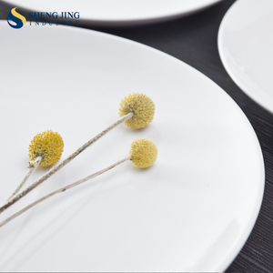 Hotel blanco Entree, vajilla, <span class=keywords><strong>restaurante</strong></span>, <span class=keywords><strong>Tapas</strong></span>, fábrica de platos - Product Image 2