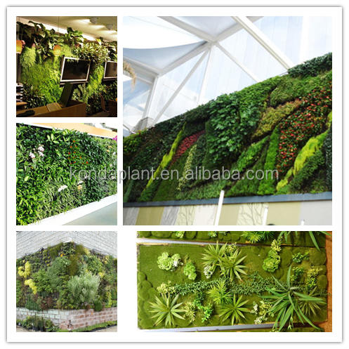 2015 Hot vente artificielle mur vert aritificial / faux / plastique mur végétal, Accueil mur végétal, Plantes artificielles mur