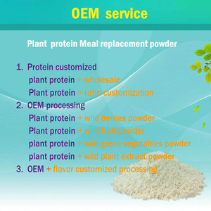 OPC 95% thông vỏ cây chiết xuất bột <span class=keywords><strong>Pinus</strong></span> pinaster nhà máy chiết xuất - Product Image 3