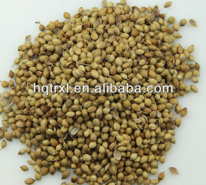 Semillas de cilantro de aceite, Cilantro aceite esencial, Cas.8008-52-4 - Product Image 1