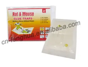 Glue Traps Mouse Factory Directly Provide Sticky Foldable Paper Board Mice Rat Mouse Glue Traps