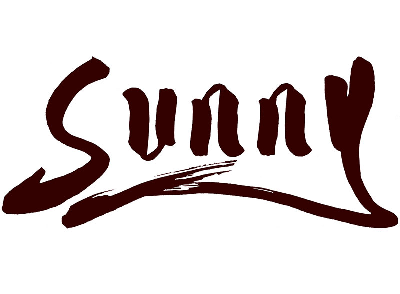 Anhui Sunny International Co., Ltd. logo