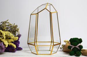 Glas pflanzen box Unregelmäßiges geometrisches <span class=keywords><strong>Terrarium</strong></span> glas - Product Image 2