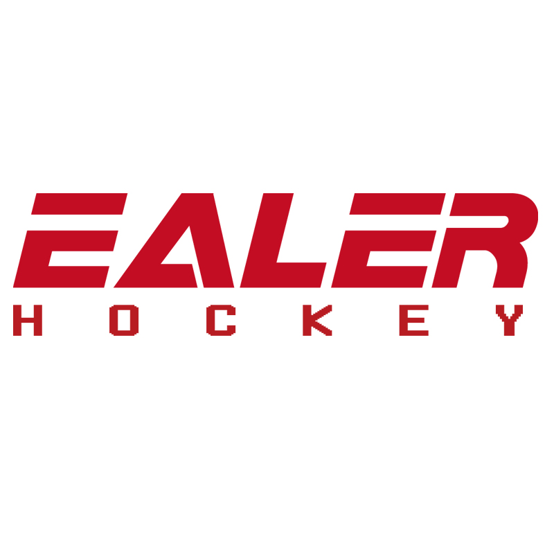 Zhejiang Ealer Sports Goods Co., Ltd. logo