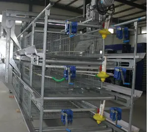 H Type 3 tiers Broiler Battery Cage For Growing Broilers