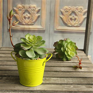 <span class=keywords><strong>2</strong></span> pcs Artificielle succulentes plantes tropicales et fleurs - Product Image 3