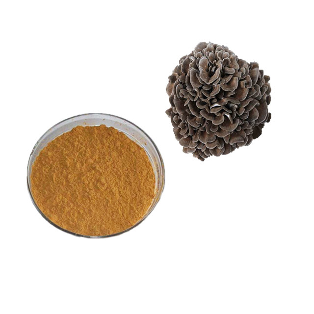 Оптовая цена экстракт грифолы муравьиной/экстракт грибов майтаке.