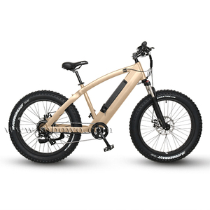 Big bike uomini fat tire hill bicicletta elettrica/fatbike di fabbrica - Product Image 1