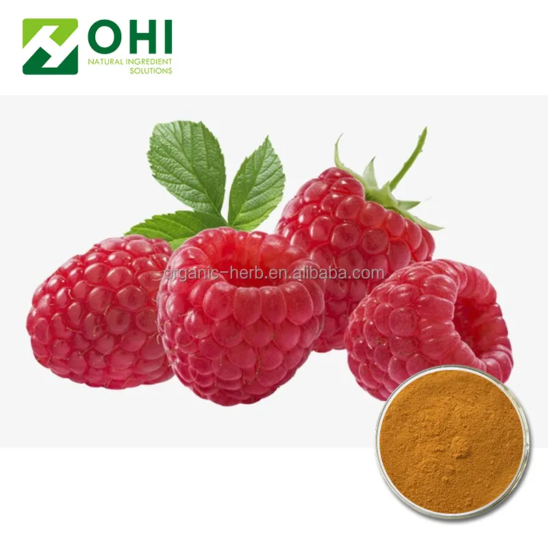 Specification 10% Ingredient Red Raspberry Extract