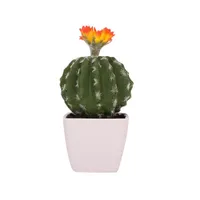 Unpotted Plastic Decorative Cactus Plants