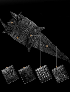 <span class=keywords><strong>In</strong></span> <span class=keywords><strong>Pelle</strong></span> <span class=keywords><strong>di</strong></span> <span class=keywords><strong>coccodrillo</strong></span> breve <span class=keywords><strong>Portafoglio</strong></span>, <span class=keywords><strong>di</strong></span> Lusso <span class=keywords><strong>In</strong></span> <span class=keywords><strong>Pelle</strong></span> <span class=keywords><strong>di</strong></span> <span class=keywords><strong>Coccodrillo</strong></span> <span class=keywords><strong>Portafoglio</strong></span> RFID per Gli Uomini - Product Image 4