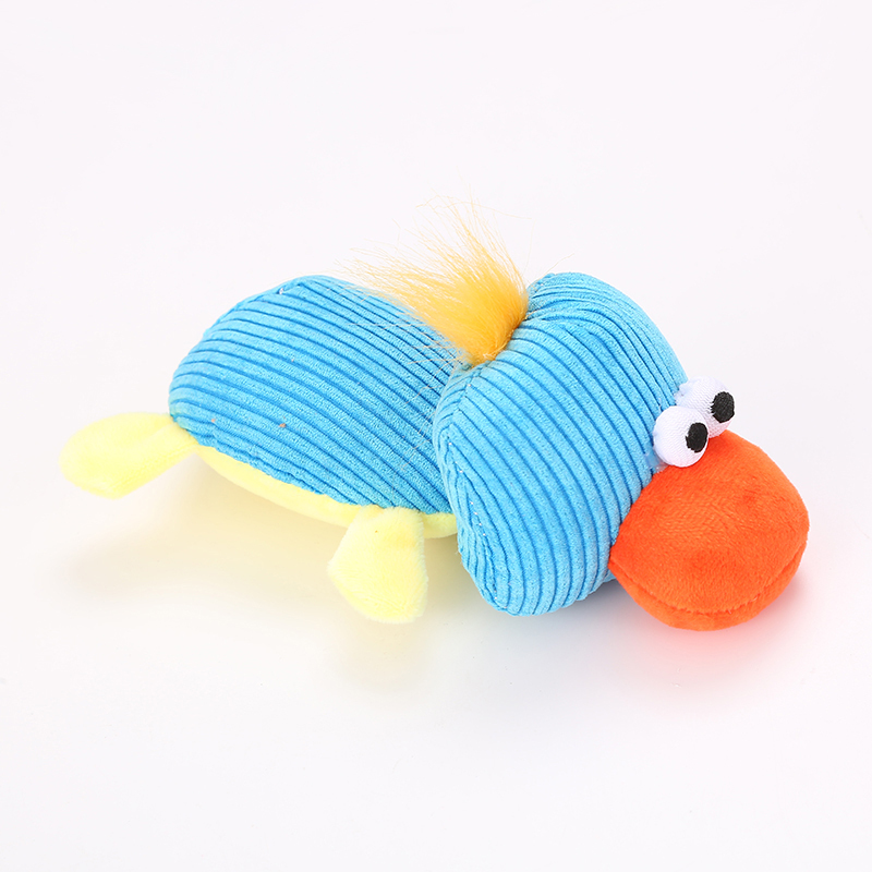 Canard