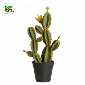 Offerta Speciale: Fiori di <span class=keywords><strong>Cactus</strong></span> in Plastica EPE da 33 cm con Piccole Pietre nel Vaso - Product Image 2