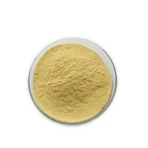 High Quality Freeze Dried Durian Powder