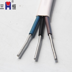 ทองแดงออนไลน์ <span class=keywords><strong>Shop</strong></span> จีน Twin และ Earth สายไฟสายไฟ2.5mm2 - Product Image 5