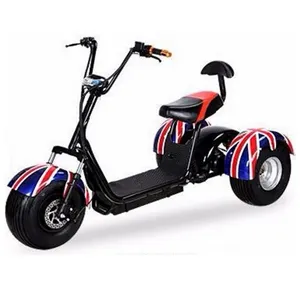 China Supplier Citycoco 1200w Price cheap 3 wheel electric scooter tricycles