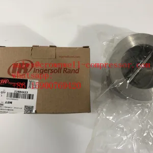 Ingersoll Rand Rückschlag ventil 39332754 22884423