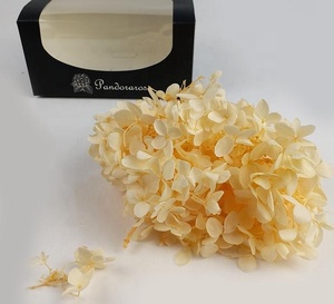 <span class=keywords><strong>Hortensias</strong></span> <span class=keywords><strong>Preservadas</strong></span> Anna para Todo Tipo de Decoración Festiva - Product Image 4
