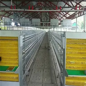 Layer Cages 3 Rows 3 Tiers 4 Tiers A Type Layer Cage Automatic Layer Cage