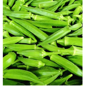 IQF New Bulk Bestseller Tiefkühl gemüse Okra IQF Frozen Okra