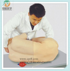 BIX-CK811 <span class=keywords><strong>Scienza</strong></span> Medica Puntura Lombare Modello di <span class=keywords><strong>Formazione</strong></span> - Product Image 4
