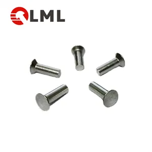 Manufacturer Solid Rivet Factory Wholesale Low Price Custom Push Solid Rivet Stainless Steel Flat Round Dome Head