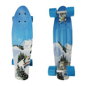 Offre Spéciale <span class=keywords><strong>Mini</strong></span> planche à roulettes en plastique 22 pouces Fish Board Cruiser <span class=keywords><strong>Skateboard</strong></span> pour enfants - Product Image 2