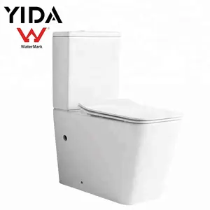 Australia toilet ce dual flush valve floor mount back wall outlet washdown rimless toilet with sink