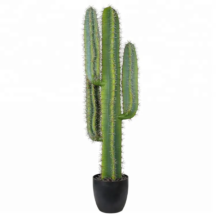 Desert Plant 105センチメートルMiniature Cactus Realistic Scientific Name Cactus Office Decoration