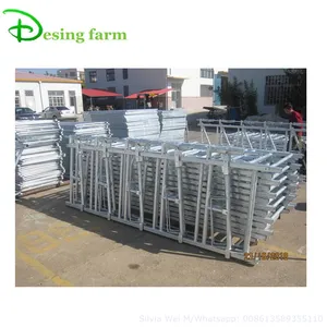 10ft hot dipped galvanized dairy cow headlock for sale