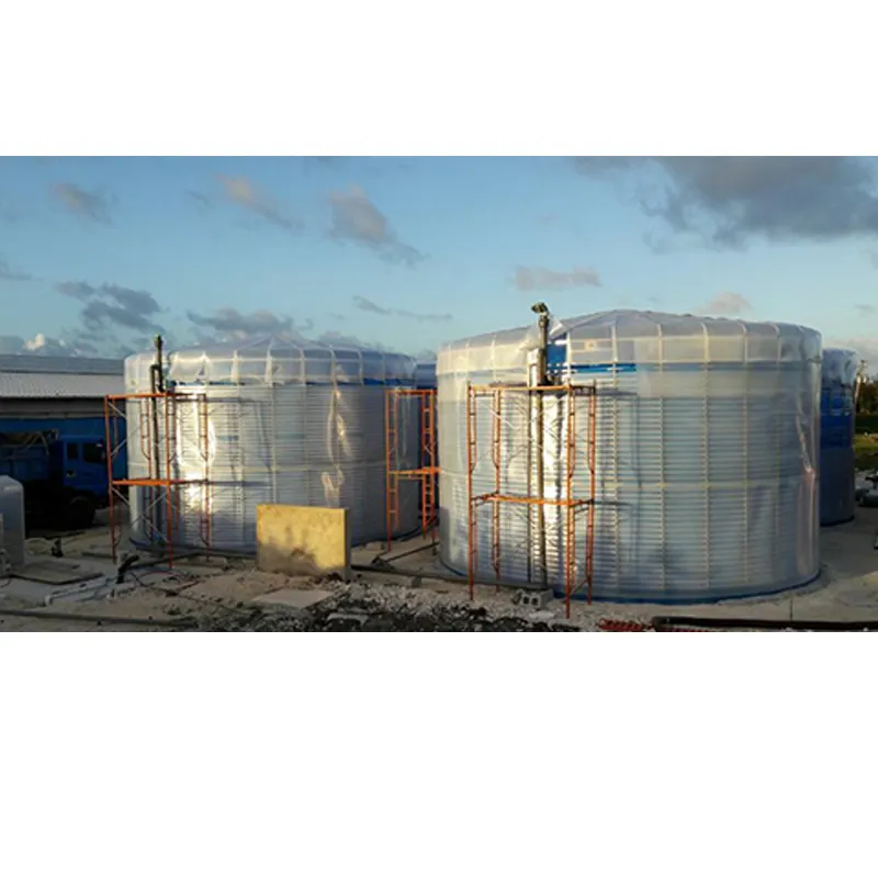 biogas power anaerobic digester plant