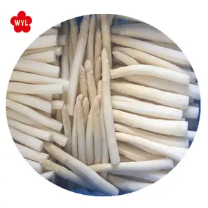 Asperges blanches congelées IQF en vrac sac transparent de 1kg ou la demande du client asperges de 10 kg matériel frais typique IQF Fozen