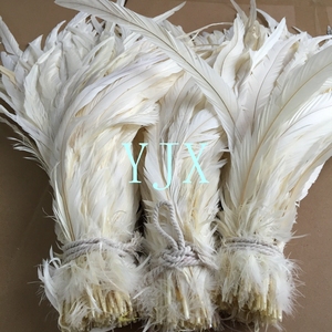 Plumes de poulet blanches longues blanchies en gros, plumes de queue de coq - Product Image 4